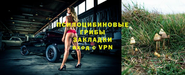 ALPHA PVP Алзамай