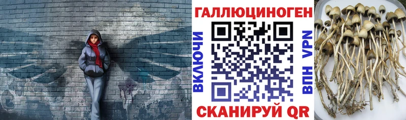Галлюциногенные грибы ЛСД  Сатка 