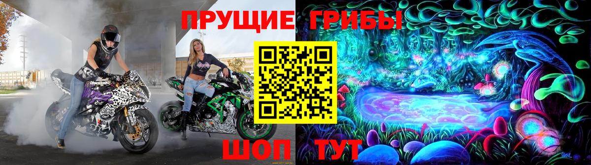 Сатка  Псилоцибиновые грибы мицелий  Псилоцибиновые грибы ЛСД  Вход с VPN 